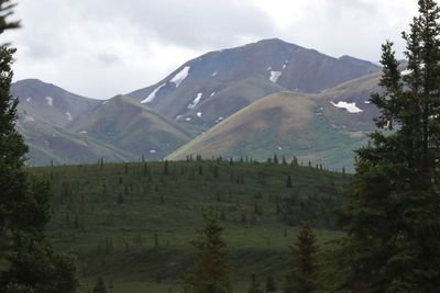Denali National Park and Preserve