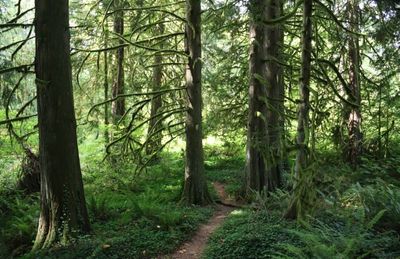 Fifteenmile Creek