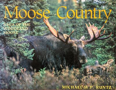 The Woodland Monarch - Moose Gallery