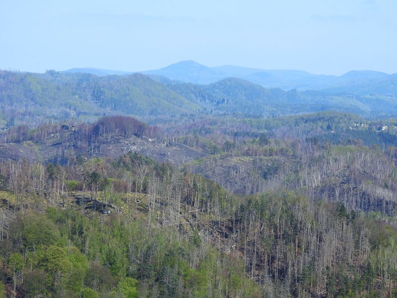 D - Saxon Switzerland 5/2023