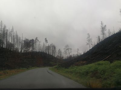 CZ - Czech Switzerland after the fire 9/2022