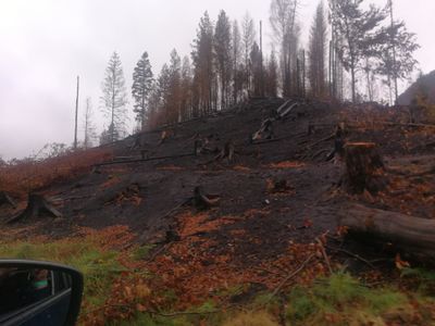 CZ - Czech Switzerland after the fire 9/2022