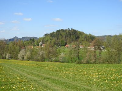 D - Kaiserkrone 5/2023