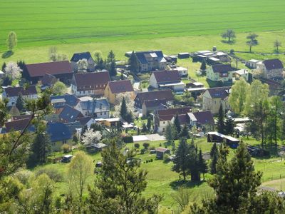 D -Schona 5/2023