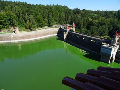 CZ - Lesni Kralovstvi dam 9/2023