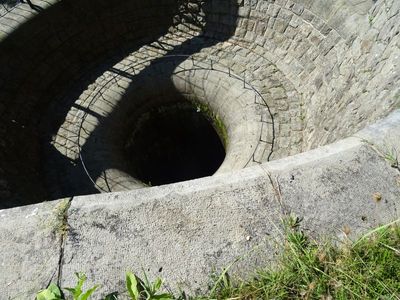 CZ - Lesni Kralovstvi dam 9/2023