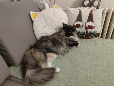 g13/13/873913/3/174328386.d0084c81.JPEG