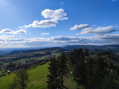 CZ - Lookout tower Hamstejn 4/2024