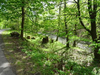 CZ - A walk in the green 4/2024