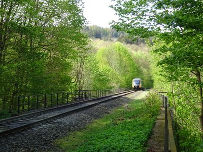 CZ - Hamrstejn 4/2024