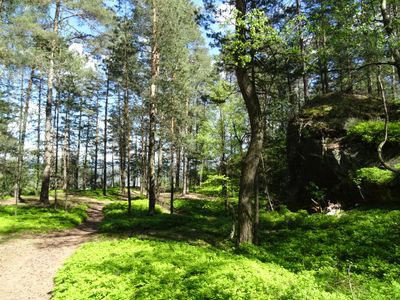 CZ - Forest ♥ 4/2024