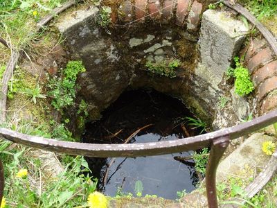 CZ - The springs of the Krinice river 5/2024