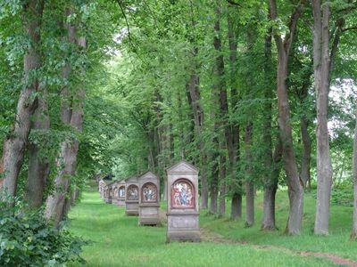 CZ - Cvikov way of the cross 5/2024