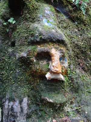 CZ - Rynoltice - dwarf trail 6/2024