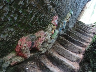CZ - Rynoltice - dwarf trail 6/2024