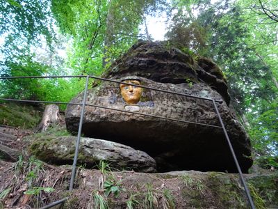 CZ - Rynoltice - dwarf trail 6/2024