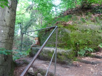 CZ - Rynoltice - dwarf trail 6/2024