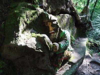 CZ - Rynoltice - dwarf trail 6/2024