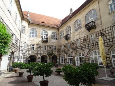 CZ - Nove Mesto n.M. 7/2024