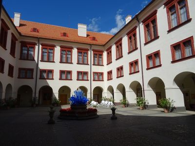 CZ - Zakupy 8/2024