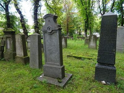 CZ - Ceska Lipa Jewish cemetery 8/2024