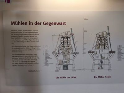 D - Potsdam 7/2025