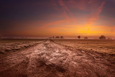 tracks (Zaamslaag)