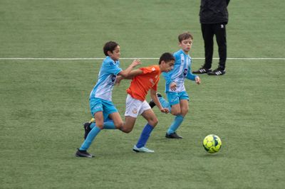 B._P8A9146.jpg