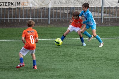B._P8A9156.jpg