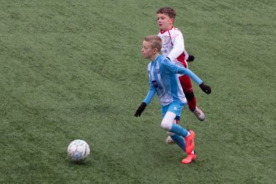 IMG_8769.jpg