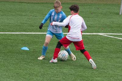 IMG_8800.jpg