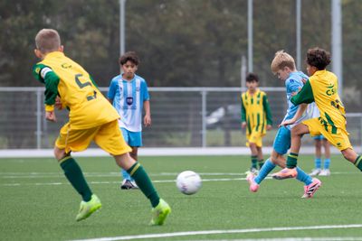 jovcadodenhaag