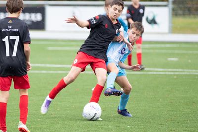 jovzexelsior20251101