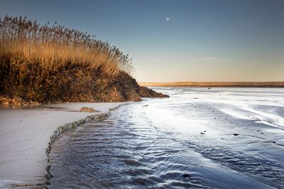 Aan de rand met de Westerschelde