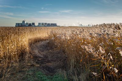 Een passerend schip richting Antwerpen
