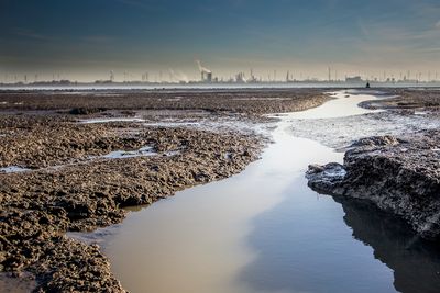 Aan de rand met de Westerschelde