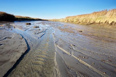 En van de vele geulen