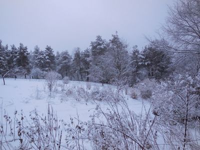 DSCN3400.JPG