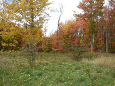 DSCN3594.JPG