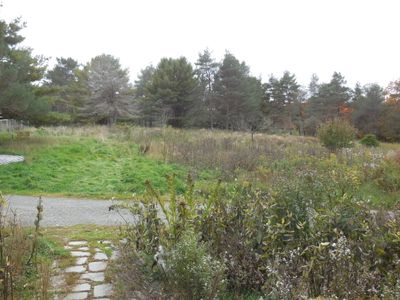 DSCN3606.JPG