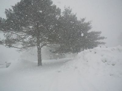 DSCN3185.JPG