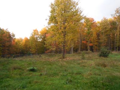 DSCN3323.JPG