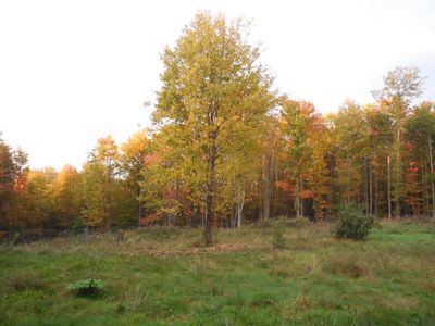 DSCN3324.JPG