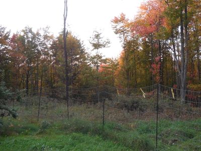 DSCN3330.JPG