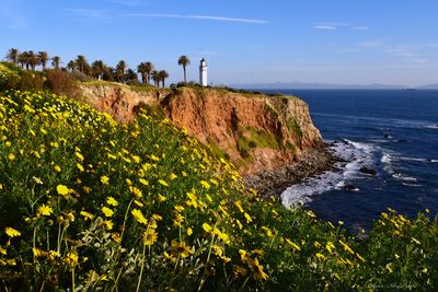 April at Point Vicente Lighthouse