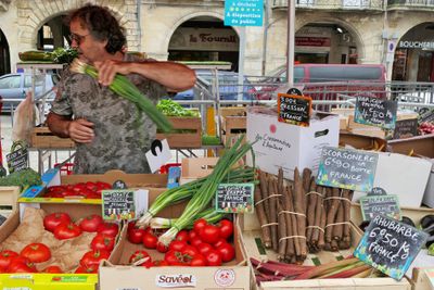 Tomatoes or Scallions?