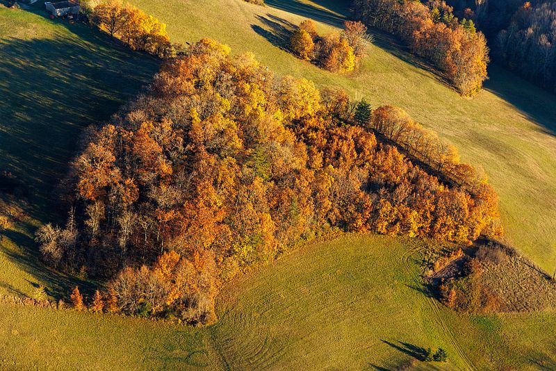 Lautomne en hiver