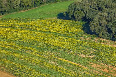Castelvert juillet 2024