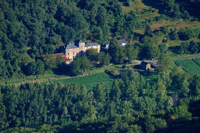 Castelvert juillet 2024