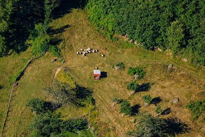 Castelvert juillet 2024
